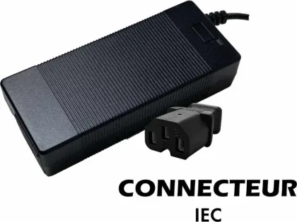 60V ➡️ 67.2V / 2A IEC Plug Citycoco Charger