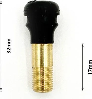 Straight tubeless valve Nami