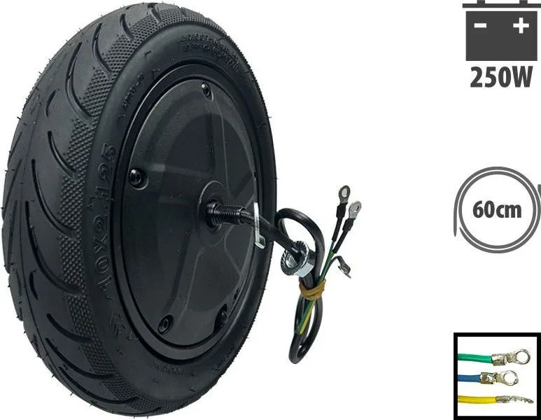 Ninebot F30 250W Motor