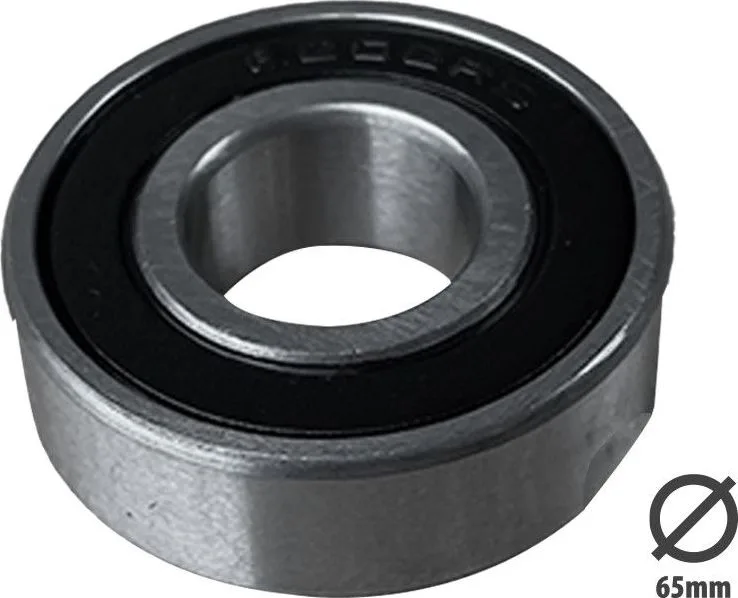 6202 2RS bearing