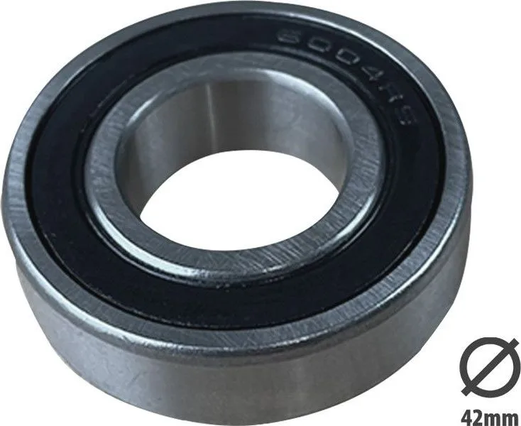 6004 2RS bearing