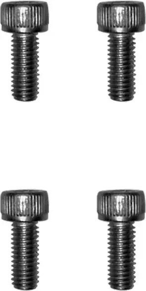 Dualtron Fender Screws X4pcs