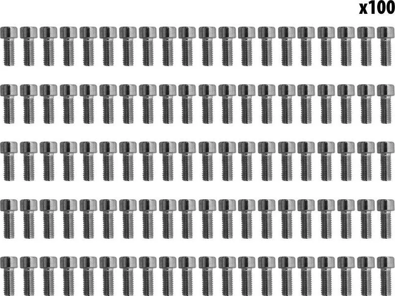 Dualtron mudguard screws x100 pcs