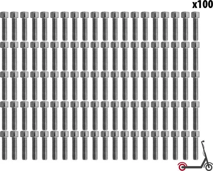 Dualtron Mini rear wheel BTR screws (x100 pcs)