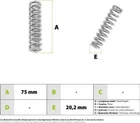 Speedway Mini4 Pro front shock absorber spring