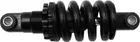 Rear suspension Rovoron R7
