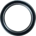 6810 2RS Bearing