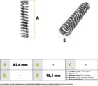 Front shock absorber / spring for ZERO 8