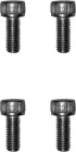Dualtron Fender Screws X4pcs
