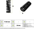 Dualtron Mini front/rear shock absorber springs